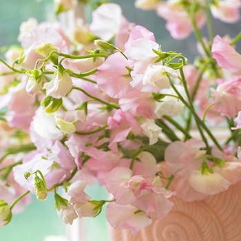 Seasonal Flowers for a Spring Wedding: Romantic or Rustic