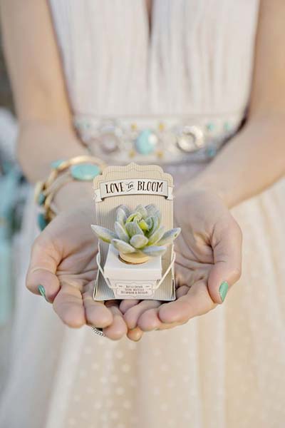 Unique and Earthy Wedding Favors