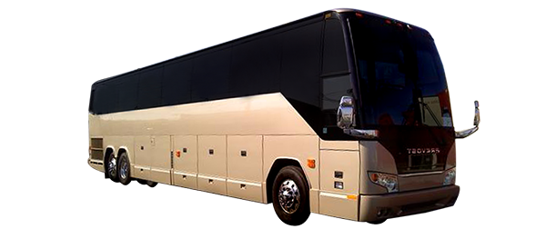 Charter bus in Las Vegas :: Wedding Transportation