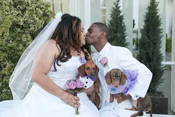 Wedding Venues that Allow Pets in Las Vegas